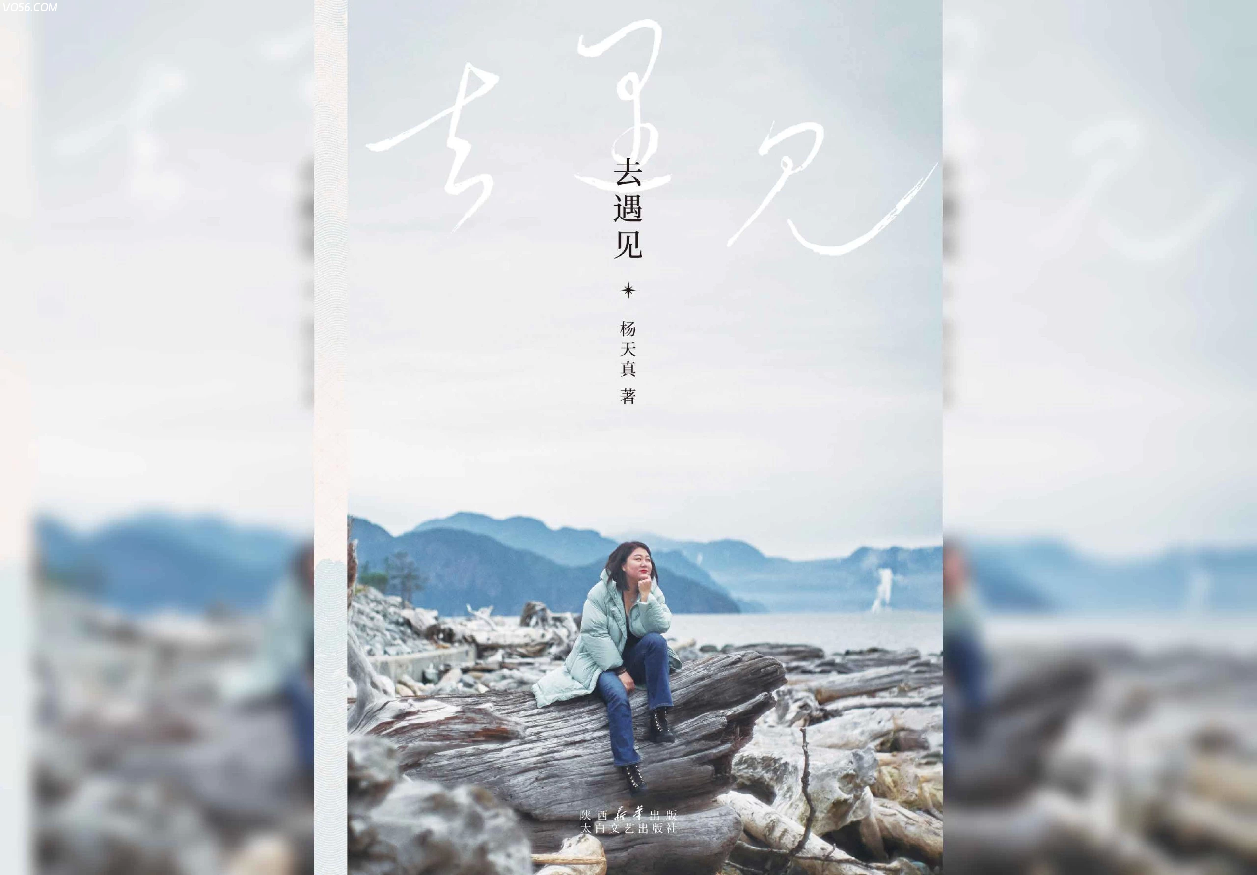 【书籍推荐】Ai播客 《去遇见》作者:杨天真 全格式电子书 【书籍推荐】Ai播客 《去遇见》作者:杨天真 全格式电子书